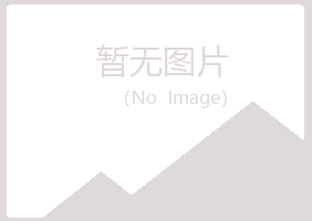 兰山区折磨工程有限公司